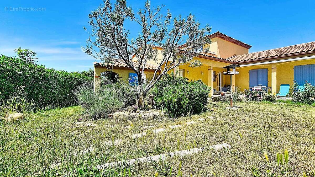 Villa 4 faces avec piscine et vue sur le Canigou - photo 18