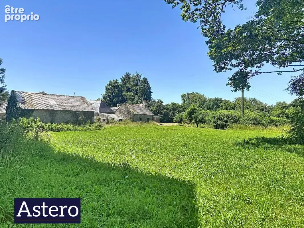 Ensemble immobilier- trois maisons-langonnet-calme - photo 4