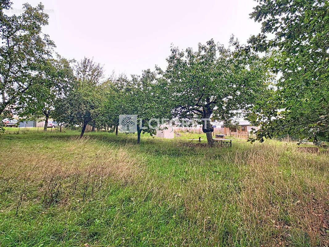 Terrain à CARENTOIR