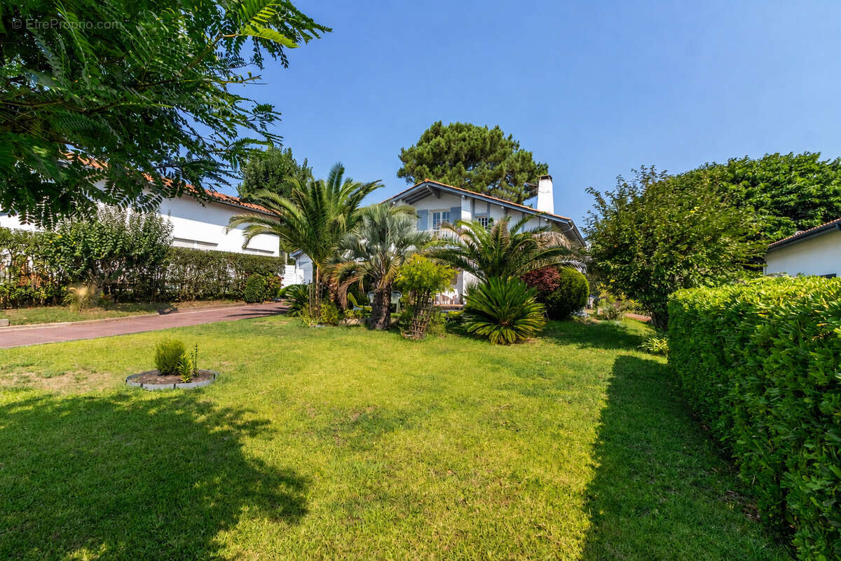 BIDART - PLATEAU - Maison familiale avec jardin arboré - photo 20