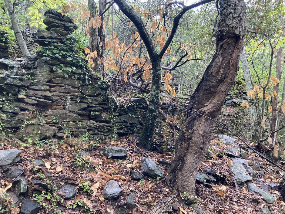 Terrain à COLLOBRIERES