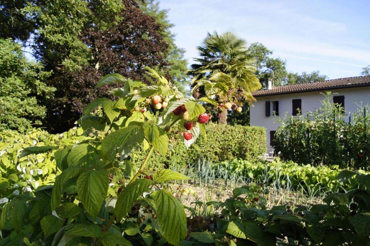 Croignon (gironde) - propriete de charme a la campagne - photo 5