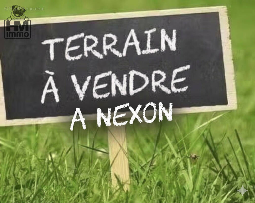 Terrain à NEXON