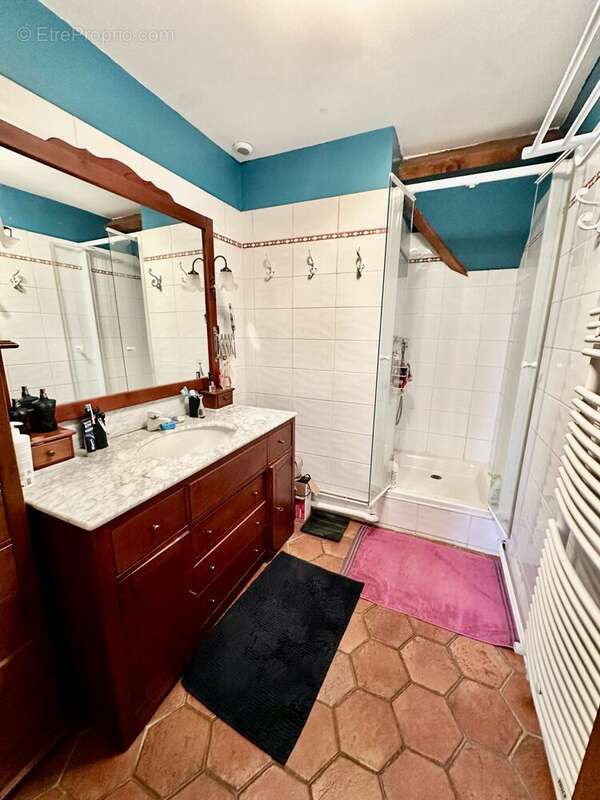 Maison à SAVIGNY-LE-TEMPLE