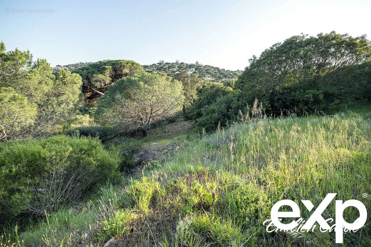 Terrain à SAINTE-MAXIME