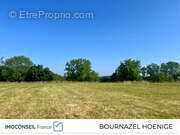 Terrain à CHAVAGNAC