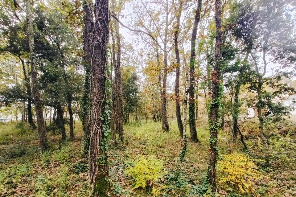 Terrain à TRANS-EN-PROVENCE