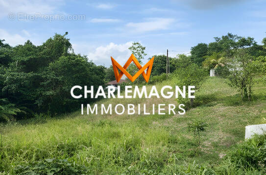 Terrain à PETIT-BOURG