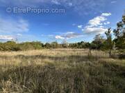 Terrain à LA ROUVIERE