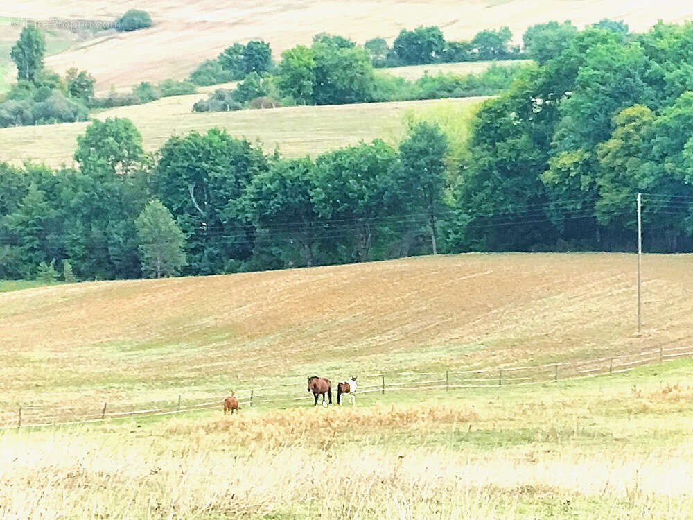 Autre à MARGOUET-MEYMES
