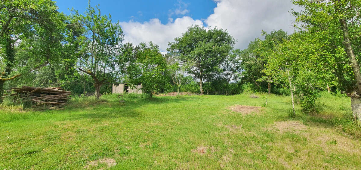 Terrain à CASTELJALOUX
