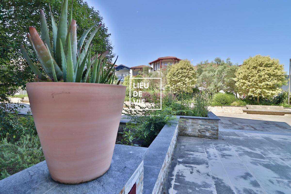 Appartement à URRUGNE