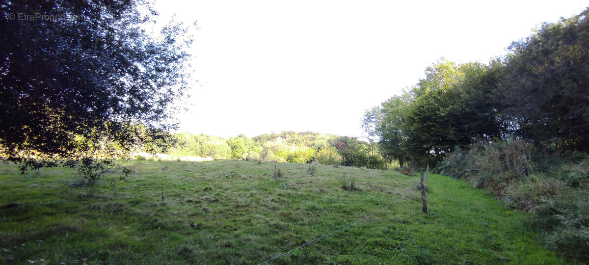 Maison à MONTFORT-EN-CHALOSSE