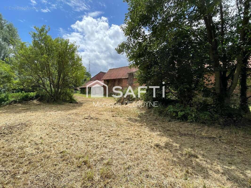 Photo 8 - Maison à STEENWERCK