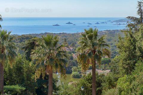 Appartement à VILLENEUVE-LOUBET
