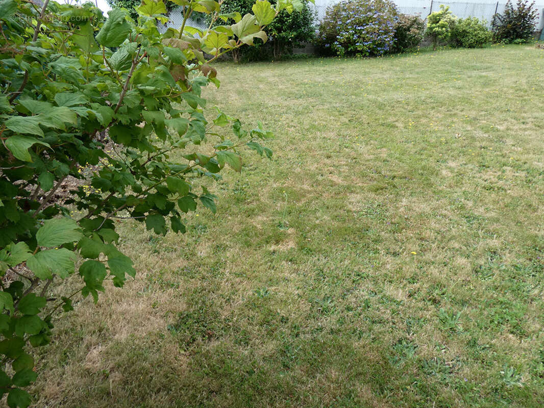 Maison de plain pied avec garage et terrain clos. - photo 4