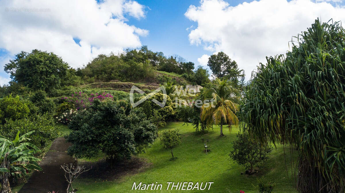 Terrain à LE MARIN