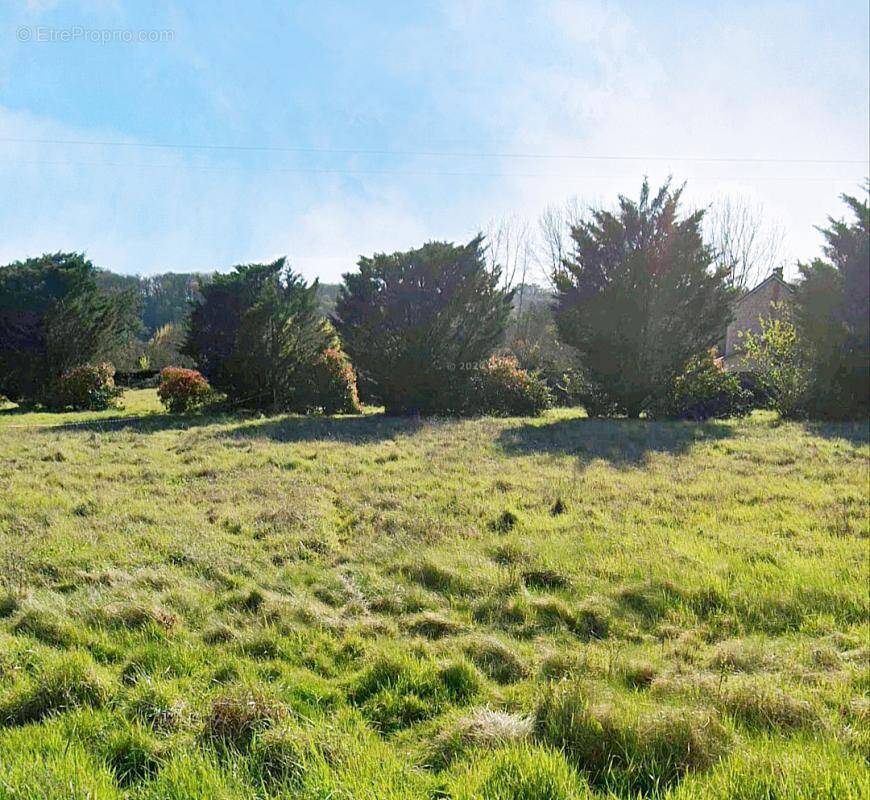 Terrain à MONTIGNAC