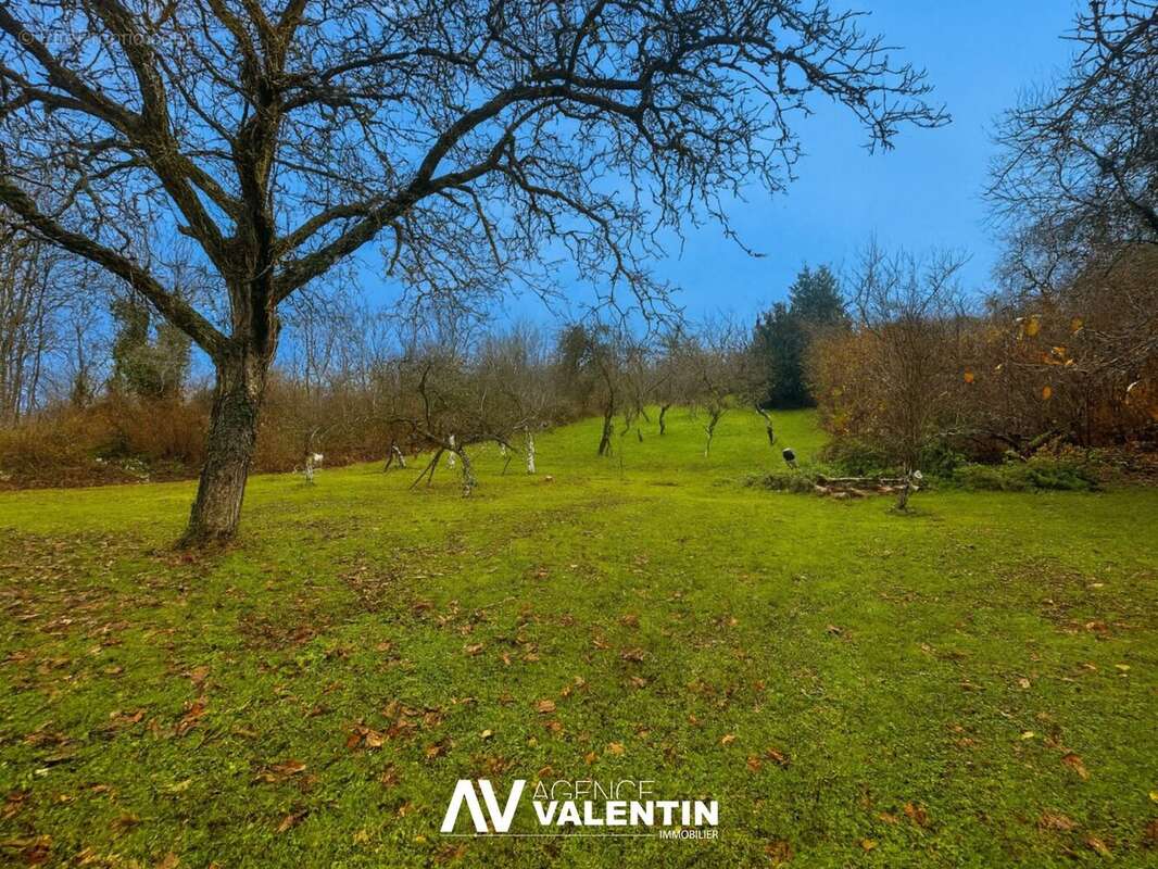 Maison à MONTAUVILLE