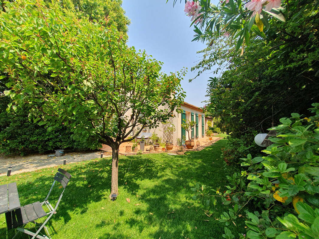 Calvisson  vente en viager, occupe 1 tete  villa 99m²  1990m² de jardin - photo 4