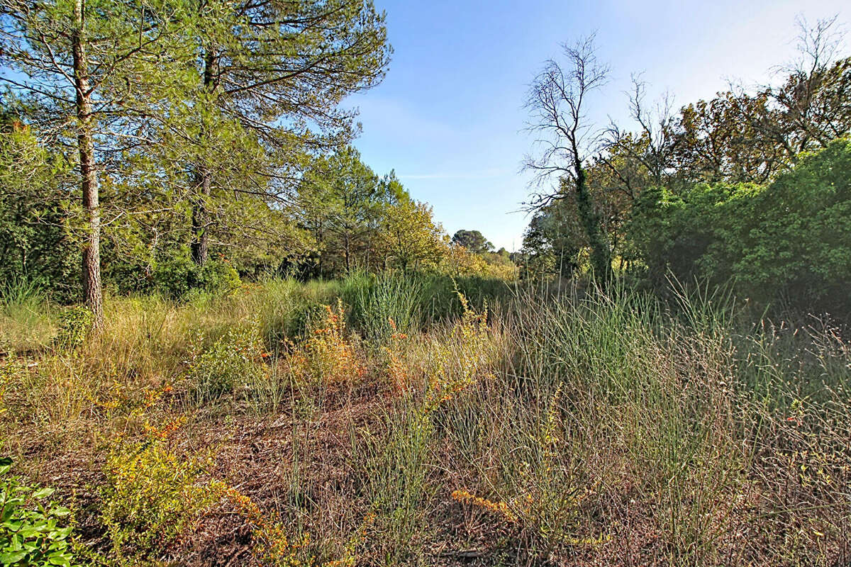 Terrain à SAINT-ANTONIN-DU-VAR