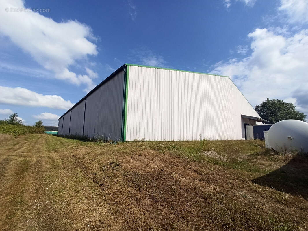 Commerce à SAINT-JUNIEN