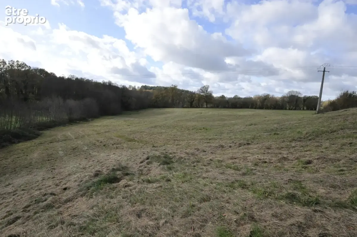 Terrain Agricole ou de Loisir d'un seul tenant, idéal pour chevaux ou animaux - photo 14