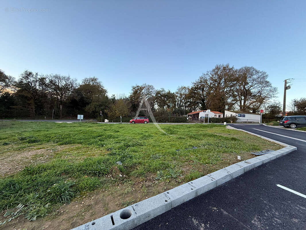 Terrain à SAINT-MAIXENT-SUR-VIE