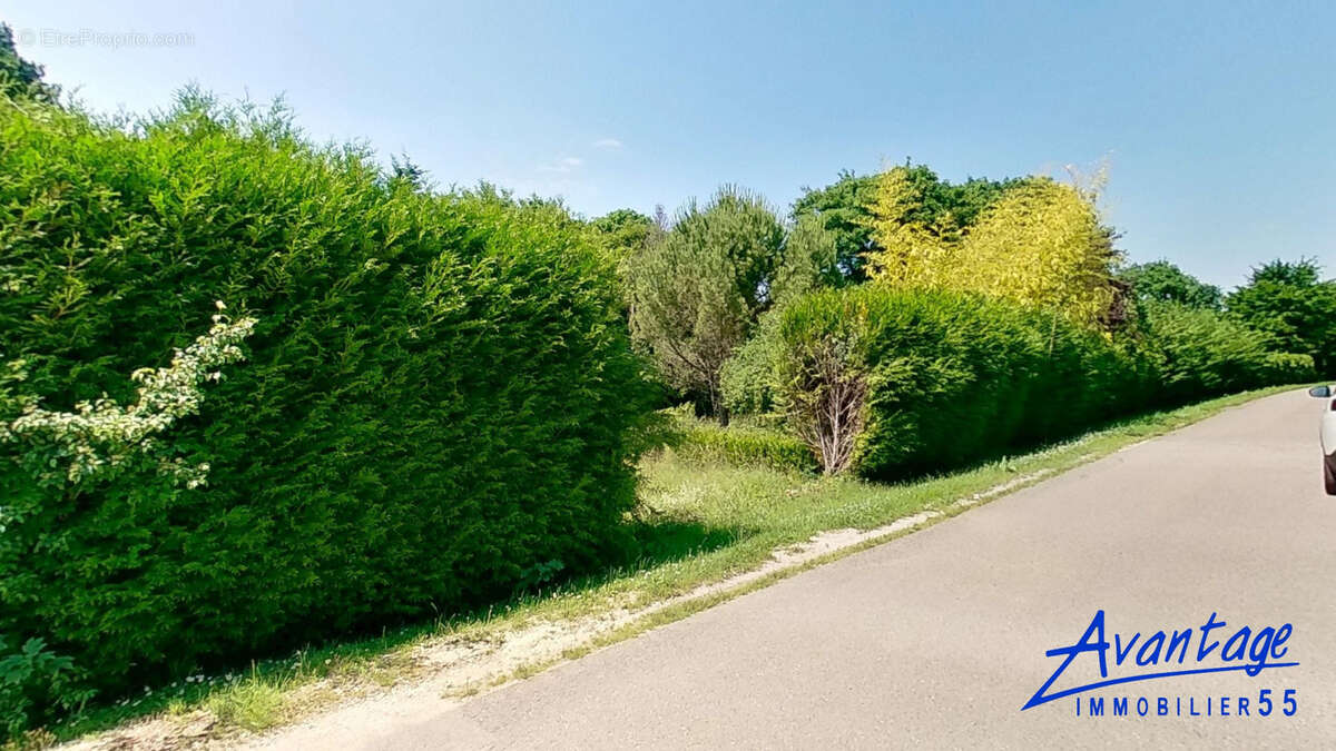 Terrain à BAR-LE-DUC