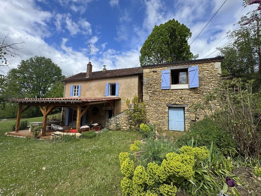 Maison principale - Maison à LE BUISSON-DE-CADOUIN
