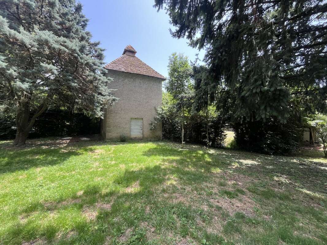Maison 330 m² à Chaneins  - photo 3
