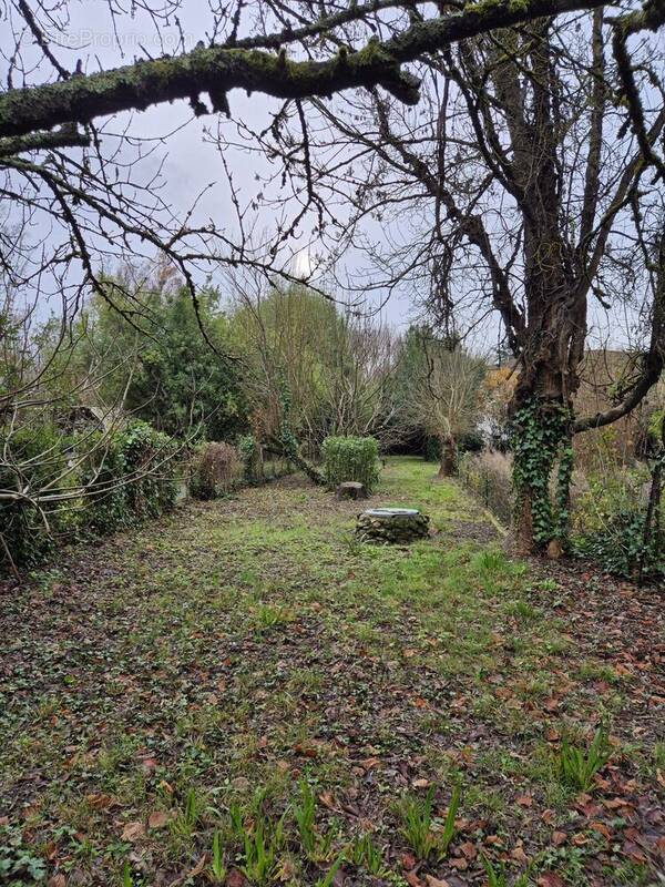 Terrain à ANGOULEME