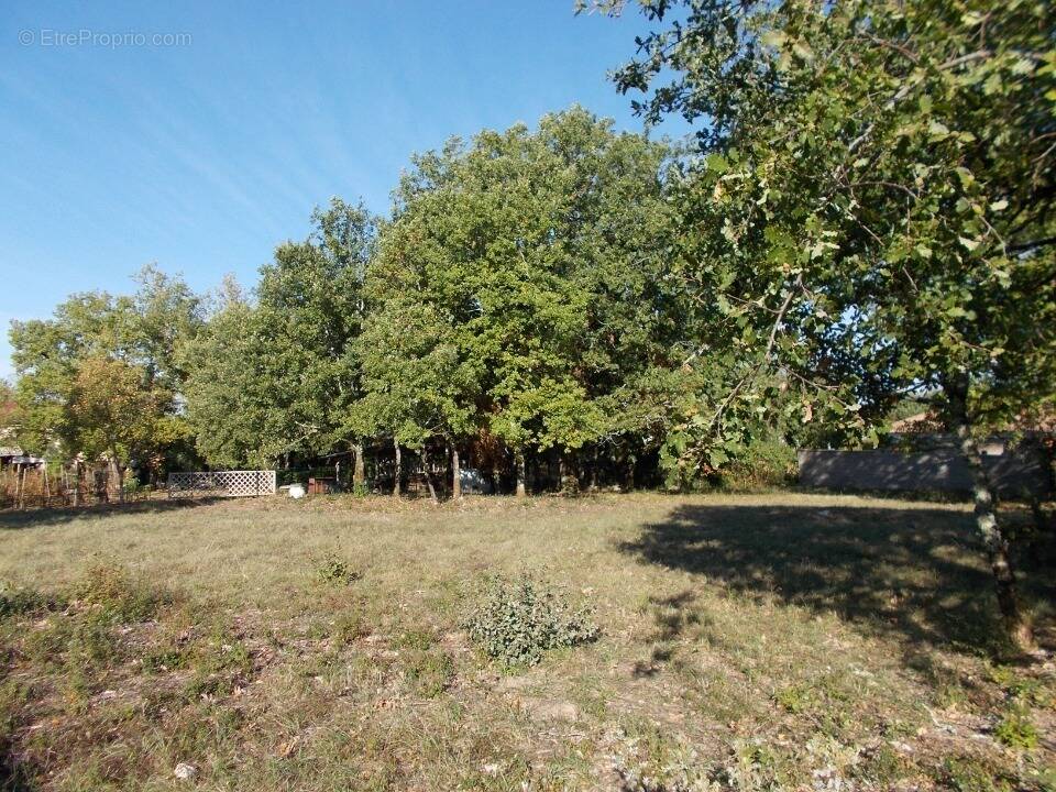 Terrain à LACHAPELLE-AUZAC