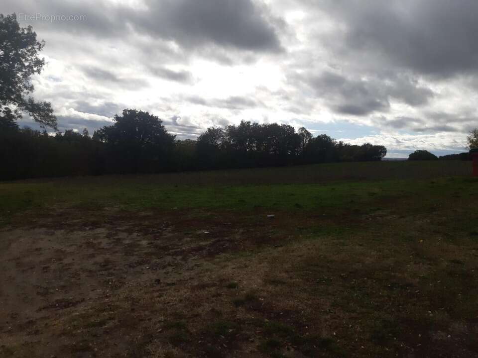 Terrain à CASTELMAUROU