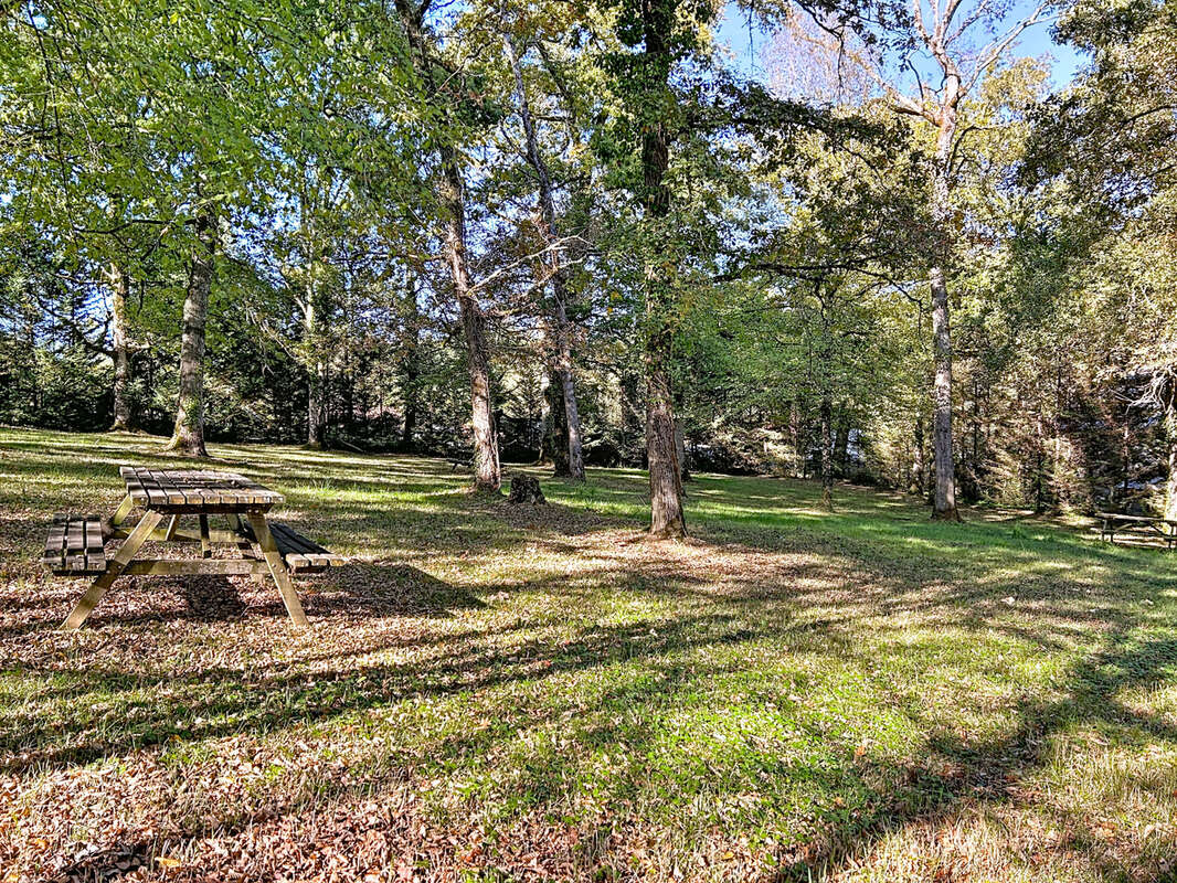 Maison à TERRASSON-LAVILLEDIEU