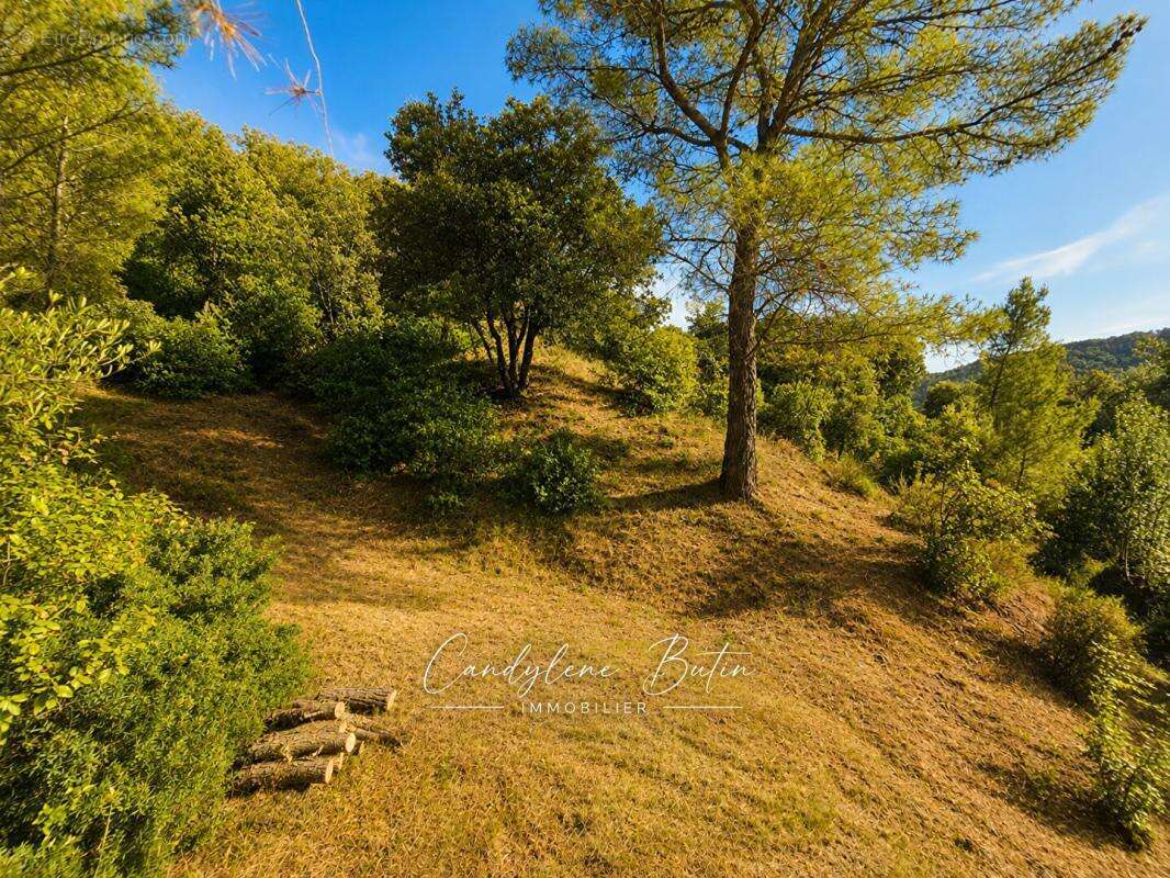 Villa T4 de plain-pied au coeur de la nature - photo 18