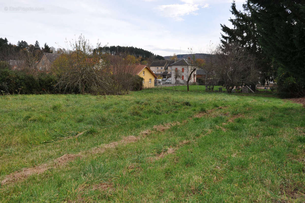 Terrain à LE MAYET-DE-MONTAGNE