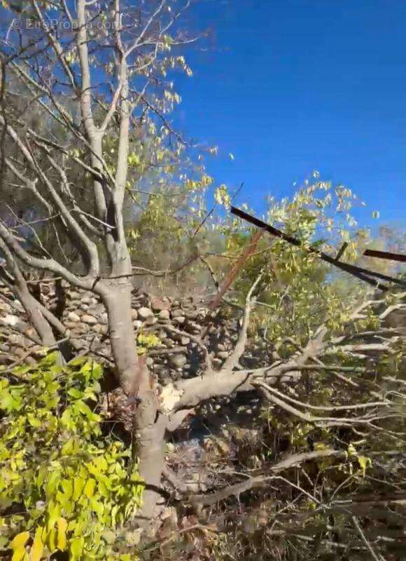 Appartement à MOUSTIERS-SAINTE-MARIE