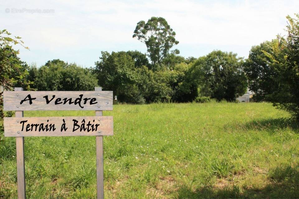 Terrain à MORET-SUR-LOING