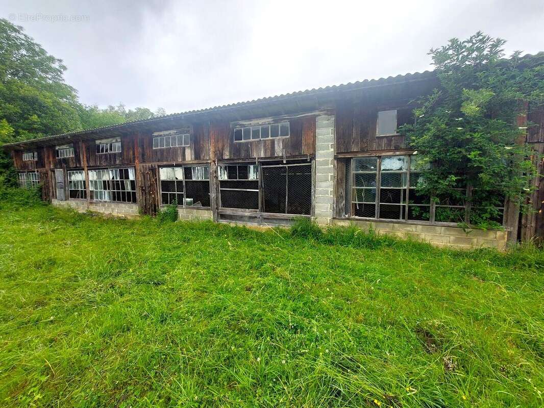 Terrain constructible de 3 600m² SECTEUR"SALIES DU SALAT PROCHE" - photo 6