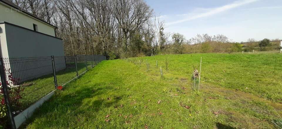 Terrain à SAINT-SATURNIN