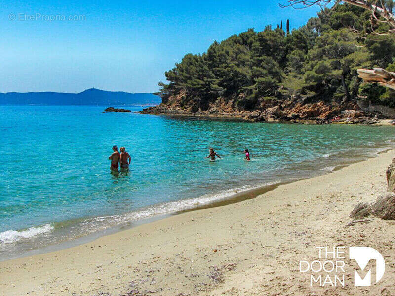 Commerce à LE LAVANDOU