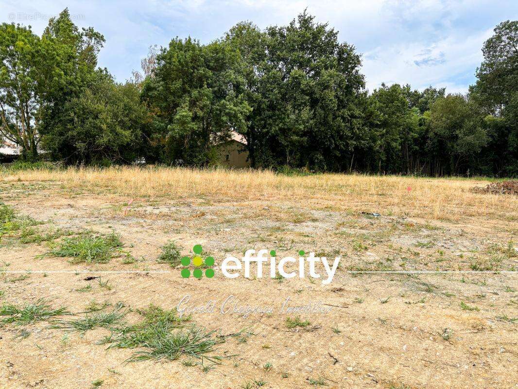 Terrain 710 m² à Saint-Lumine-De-Coutais  - photo 3