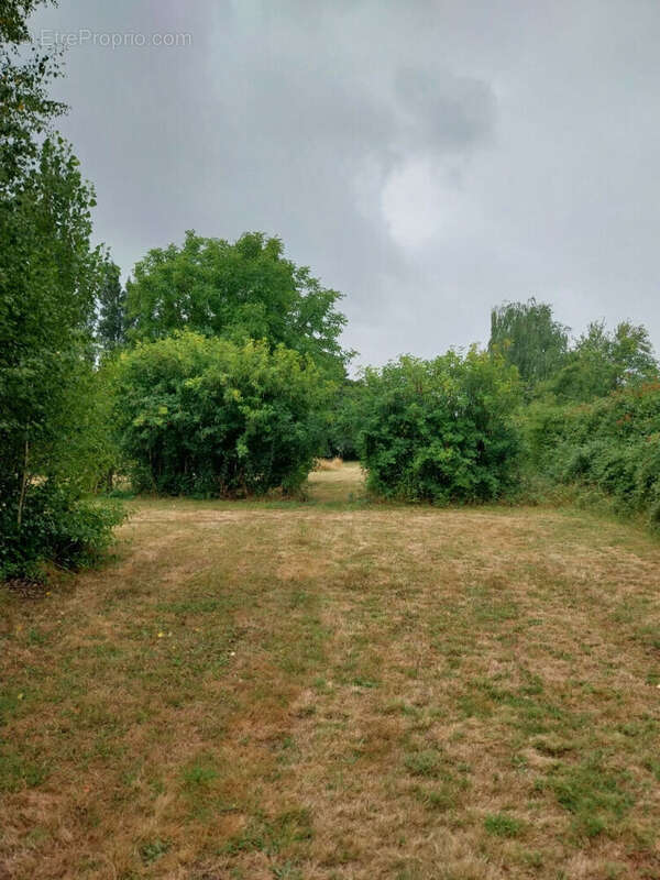 Terrain constructible a vendre  saint saturnin - photo 3