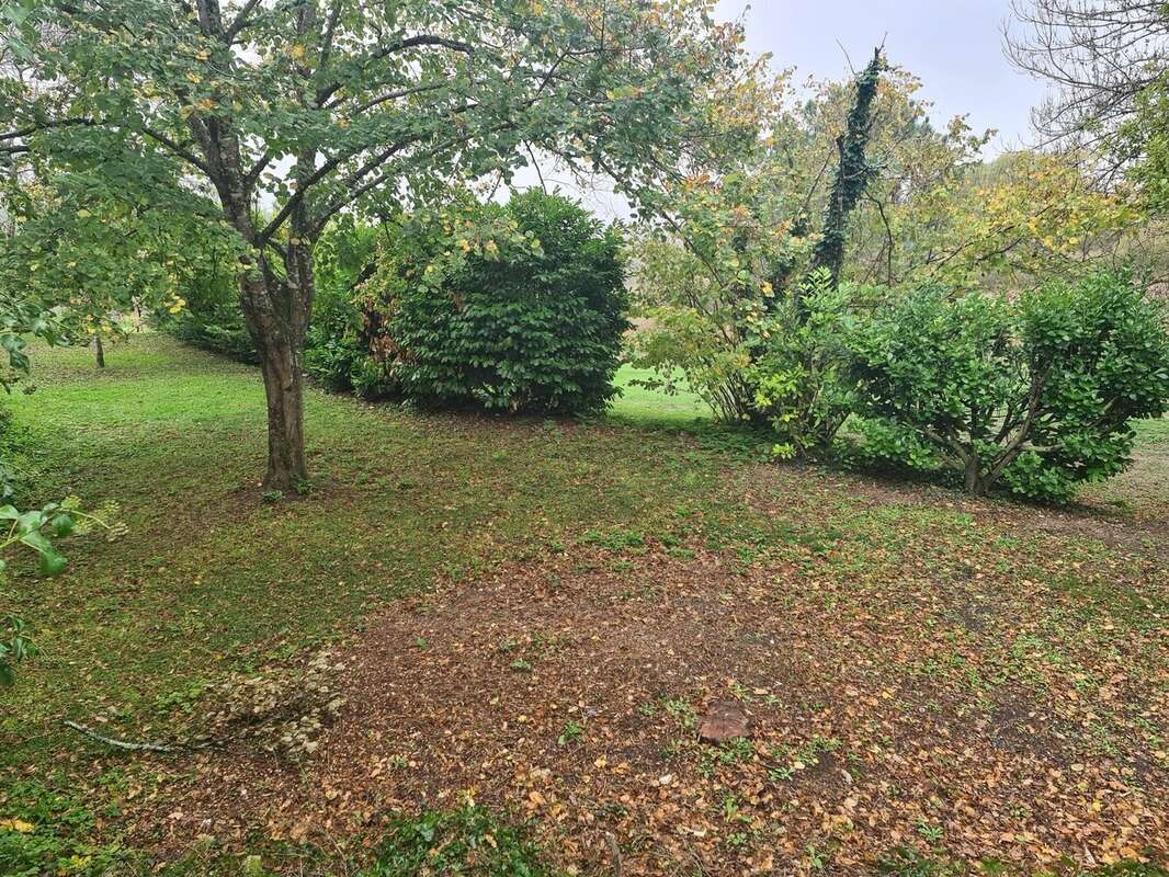 Jardin - Maison à POMPORT