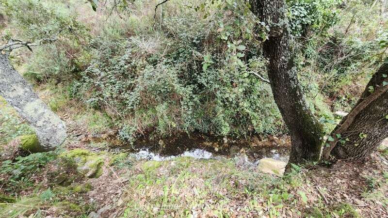 Terrain à COLLOBRIERES