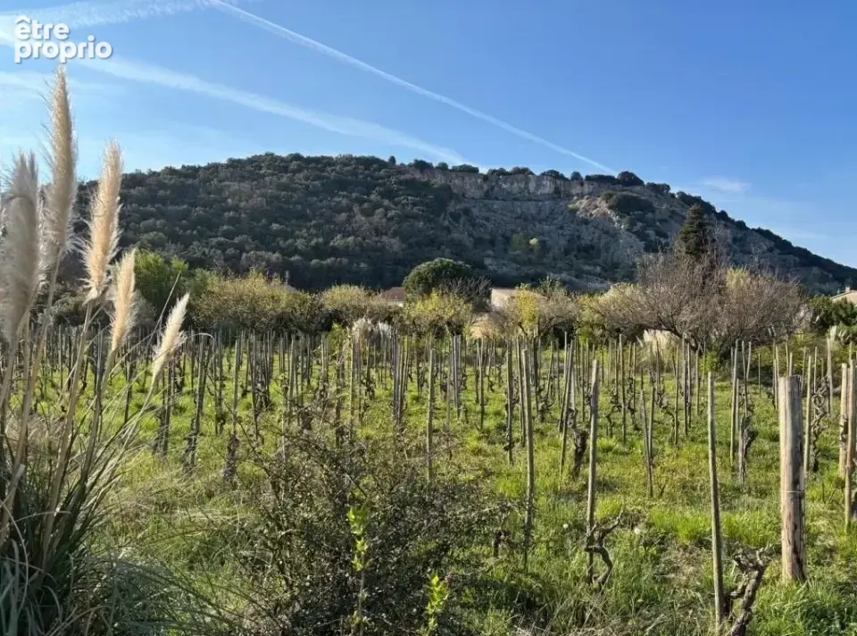 Terrain 520 m² à vendre à Cornas (07130) - photo 3