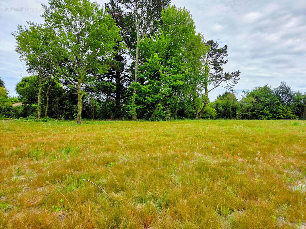 Terrain à SEIGNOSSE