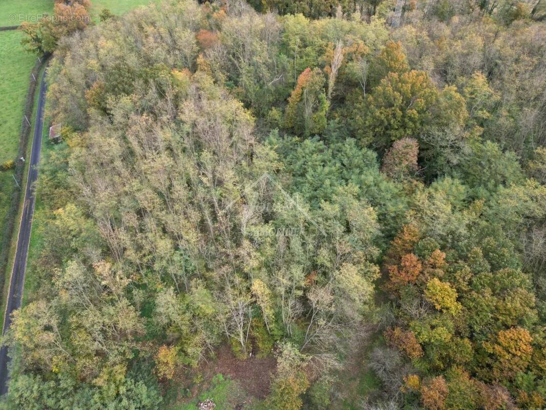 Terrain à SALIGNY-SUR-ROUDON