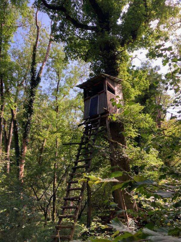 Domaine Forestier et chasse privée à vendre - photo 9